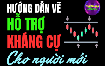 HƯỚNG DẪN KẺ HỖ TRỢ – KHÁNG CỰ CHI TIẾT CHO NGƯỜI MỚI