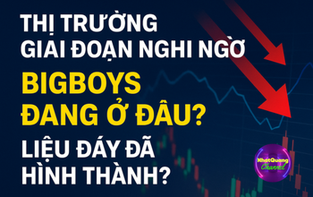 THỊ TRƯỜNG ĐÃ BƯỚC VÀO GIAI ĐOẠN NGHI NGỜ – BIGBOYS Ở ĐÂU?