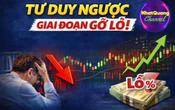 Tư duy ngược & Vòng gỡ lỗ: Nhà đầu tư cầm hàng không thể bỏ qua